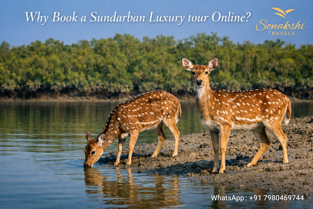 Why Book a Sundarban Luxury tour Online