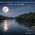 the Sundarban Tour is a Passage into Moonlight