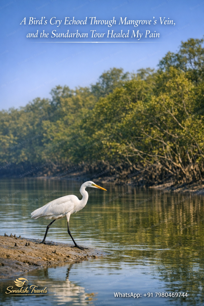 A Bird’s Cry Echoed Through Mangrove’s Vein, and the Sundarban Tour Healed My Pain