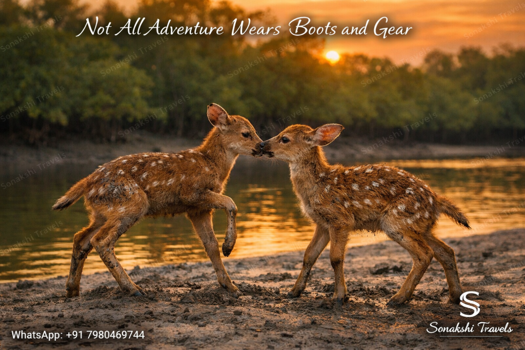 As the Sunset Bleeds Over Mangrove Lore—Your Sundarban Tour Package Will Open 