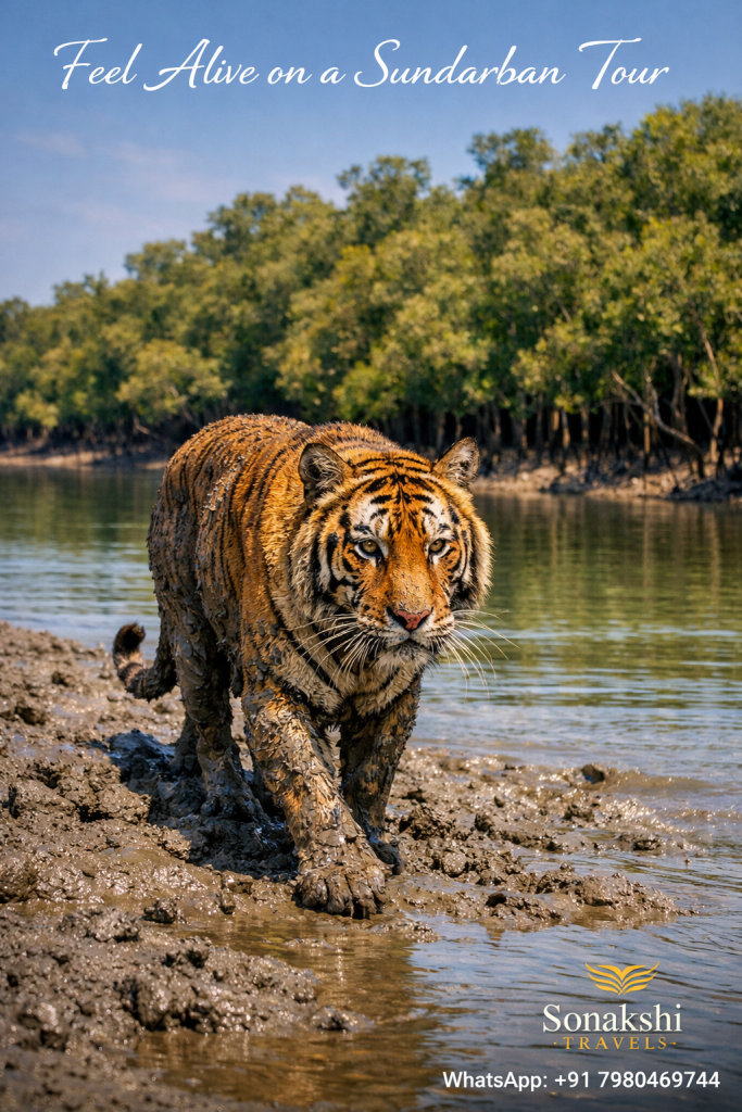 Feel Alive on a Sundarban Tour