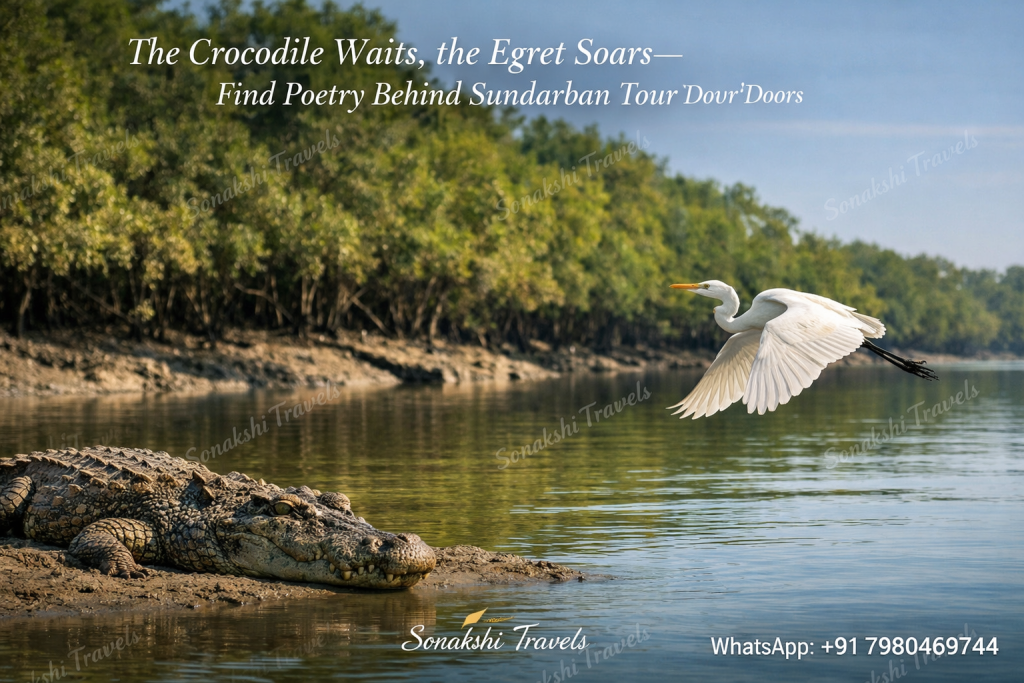 The Crocodile Waits, the Egret Soars