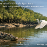 The Crocodile Waits, the Egret Soars