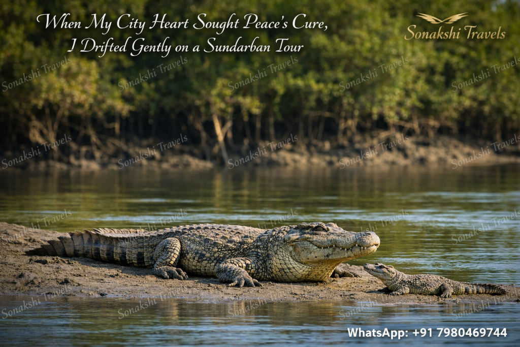 When My City Heart Sought Peace’s Cure, I Drifted Gently on a Sundarban Tour