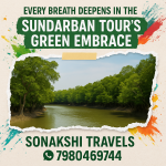 Every Breath Deepens in the Sundarban Tour’s green embrace