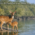 The Unseen Sundarban Tour