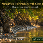 Sundarban Tour Package with Clean Boats - Hygiene that ensures comfort