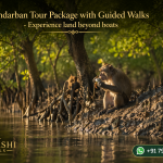 Sundarban Tour Package with Guided Walks - Experience land beyond boats