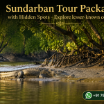 Sundarban Tour Package with Hidden Spots - Explore lesser-known corners