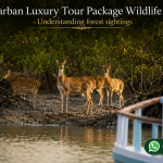 Sundarban Luxury Tour Package Wildlife Insight - Understanding forest sightings