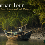Sundarban Tour for Photography Lovers - Capture Moods of the Mangroves
