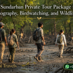 Sundarban Private Tour Package for Photography, Birdwatching, and Wildlife Lovers