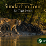 Sundarban Tour for Tiger Lovers
